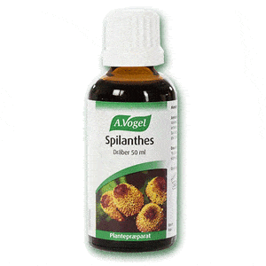 Spilanthes från A. Vogel - naturligt munvatten! Med24.se