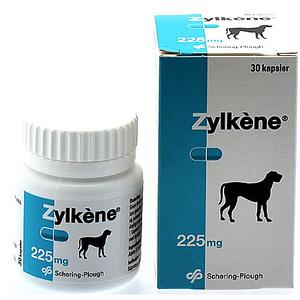 Zylkène är en naturlig produkt som kan hjälpa djuren när de känner sig otrygga i okända situationer eller under perioder som ger otrygghet.