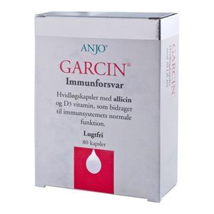 Garcin Vitlök - 80 st