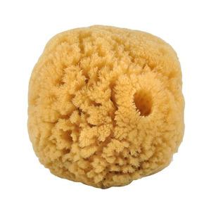 Croll och Denecke Natursvamp 10-12 cm - 1 st