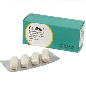 Canikur för Hundar - 12 tuggtabletter