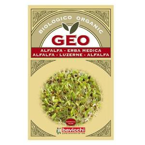 Bavicchi Geo Alfalfa frö till Groddning Ekologisk - 500 g