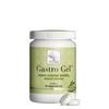 New Nordic Gastro Gel - 60 tabletter