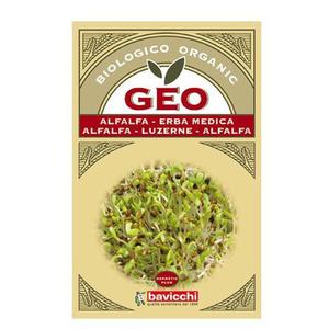 Bavicchi Geo Alfalfafrö Groddning eko