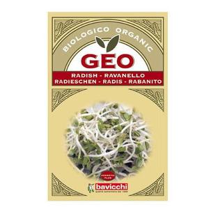 Bavicchi Geo Rädisfrö Groddning eko