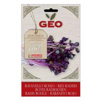 Bavicchi Geo Rädisfrö Groddning eko - 15 g