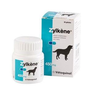 Zylkène är en naturlig produkt som kan hjälpa djuren när de känner sig otrygga i okända situationer eller under perioder som ger otrygghet.