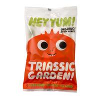 HEY YUM Triassic Garden yogurtskum - 100 g