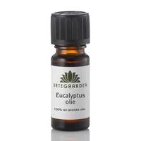 Urtegaarden - Eucalyptus Oil - 10 ml