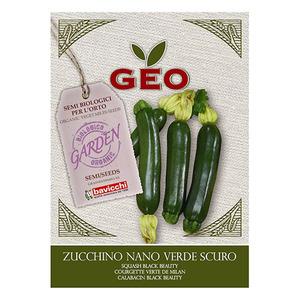 Geo Bavicchi Cougette frö "Black Beauty eko - 7 g, bäst i soliga lägen och bördig jord