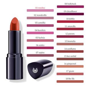 Dr. Hauschka Lipstick 4,1 g - Flera varianter, intensiv färg och subtil glans 