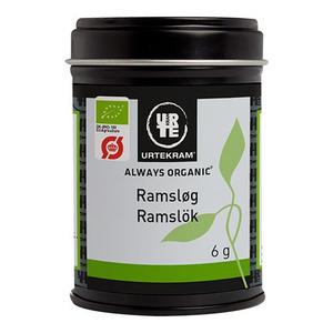 Urtekram Ramslök eco - 6 g