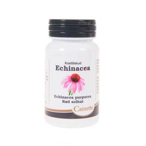 Echinacea är känd för sin egenskap som naturmedicin mot förkylning Med24.se