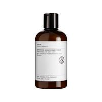 Evolve Superfood Shine Conditioner - 250 ml
