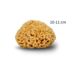 Honeycomb-svampen anses vara en av världens finaste, naturliga svampar 100% ekologisk och allergivänlig Med24.se