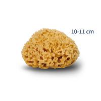 Cocoon Organic Laundry Honey Svamp 10-11 cm