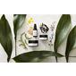 S5 The Illuminate Collection, Serum 10 ml och Kräm 15 ml