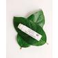 John Masters Organics Lip Calm - 4 g Med24.se
