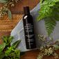 John Masters Organics Scalp Stimulating Shampoo med Spearmint och Meadowsweet Med24.se