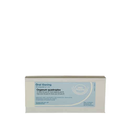 Organum quadroplex - 10 ampuller
