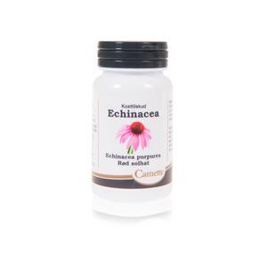 Echinacea är känd för sin egenskap som naturmedicin mot förkylning Med24.se