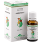 Oreganoolja eterisk - 20 ml