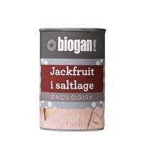 Biogan Jackfruit eko - 400 g