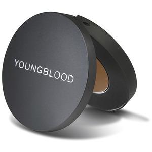Youngblood Brow Artiste Wax håller ögonbrynen på plats hela dagen Med24.se