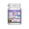 Bach Flowers tuggummi KONCENTRATION - 60 g