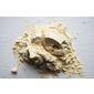 Puori Plante Protein Booster - 317g