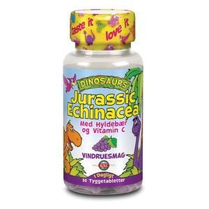 Jurassic Echinacea - 30 tuggtabletter