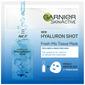Fresh-Mix Hyaluron Shot ansiktsmask från Garnier Skin Active ger en intensiv fuktboost Med24.se