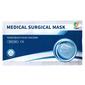 Protego medicinskt munskydd typ IIR - 10 st