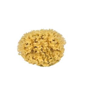 Croll och Denecke Natursvamp 11 cm - 1 st