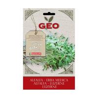 Bavicchi Geo Alfalfafrö Groddning eko - 30 g