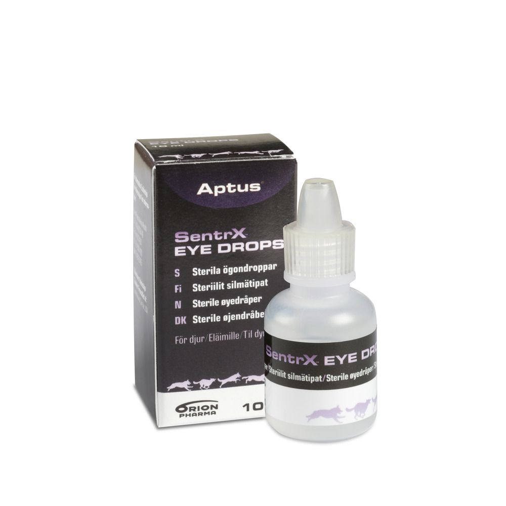 Köp Aptus SentrX Eyedrops - 10 ml på Med24.se