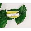 John Masters Organics Lip Calm - 4 g Med24.se