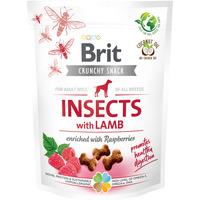 Brit Care Crunchy Cracker Insects, lamm & hallon - 200 g