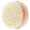 EcoTools Dry Body Brush - exfolierande kroppsborste för en silkesmjuk, slät och glödande hud Med24.se