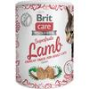 Brit Care Cat Snack Superfruits, lamm - 100 g