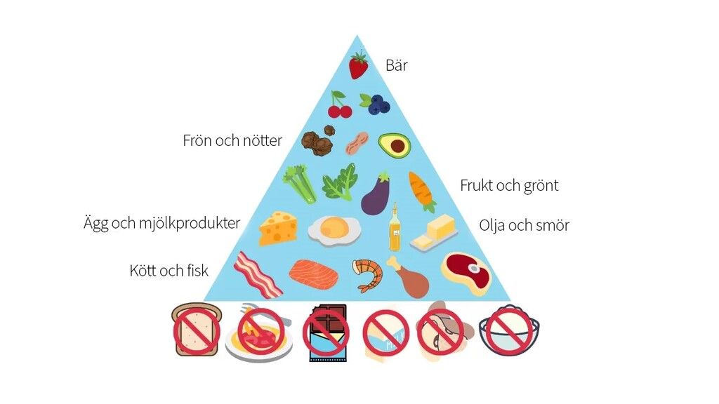 Keto-guide för nybörjare - Läs allt om Keto-diet och viktminskning här →