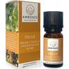 Ambience Focus & Concentration Blend Ekologisk - utvecklad för att öka din koncentration och fokus