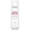 Goldwell Dualsenses Color Extra Rich Brilliance Shampoo för tjockt, kraftigt och färgat hår