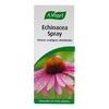 A. Vogel Echinacea Spray innehåller röd solhatt som rengör slemhinnorna effektivt i mun och hals Med24.se