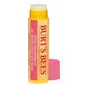 Burt's Bees Lip Balm - Flera varianter