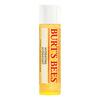 Burt's Bees Lip Balm - Flera varianter - Coconut & Pear