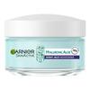 Garnier Skin Active Hyaluronic Aloe Night Jelly - 50 ml