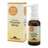 Natur-Drogeriet Propolis Spray eko - 30 ml