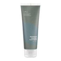 Isntree Real Mugwort Clay Mask - 100 ml
