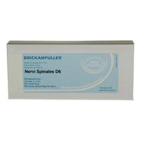 Allergica Nervi spinalis D6, ampull - 10 x 1 ml